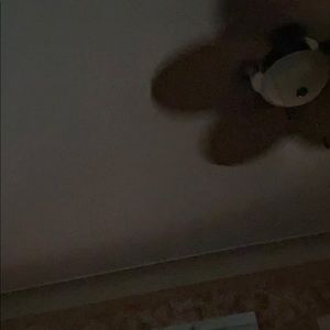 Meet your Posher, Demetrius